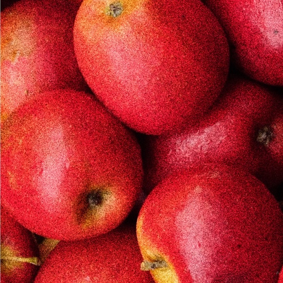 Frog and Toad Enamel Pin - The Library - Picture 4 of 5